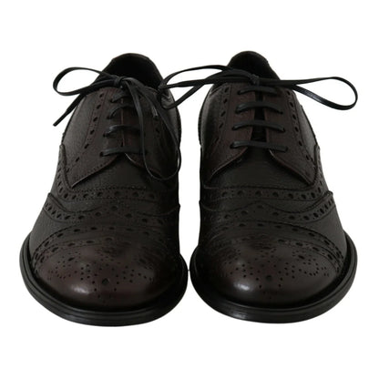Dolce & Gabbana Brown Bordeaux Shoes Elevate Style