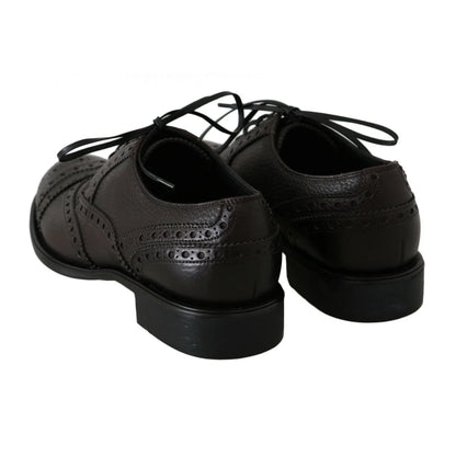 Dolce & Gabbana Brown Bordeaux Shoes Elevate Style