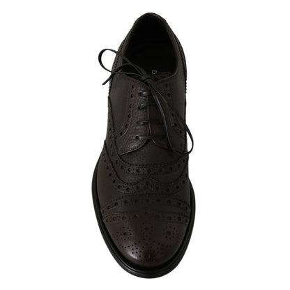 Dolce & Gabbana Brown Bordeaux Shoes Elevate Style
