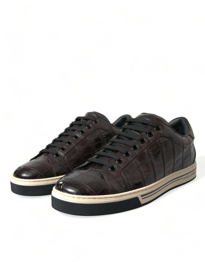 Dolce &amp; Gabbana Brown Croc Exotic Leather Men Casual Sneakers Shoes