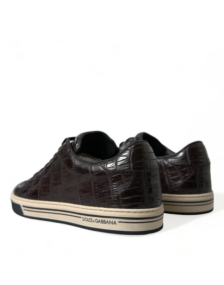 Dolce &amp; Gabbana Brown Croc Exotic Leather Men Casual Sneakers Shoes