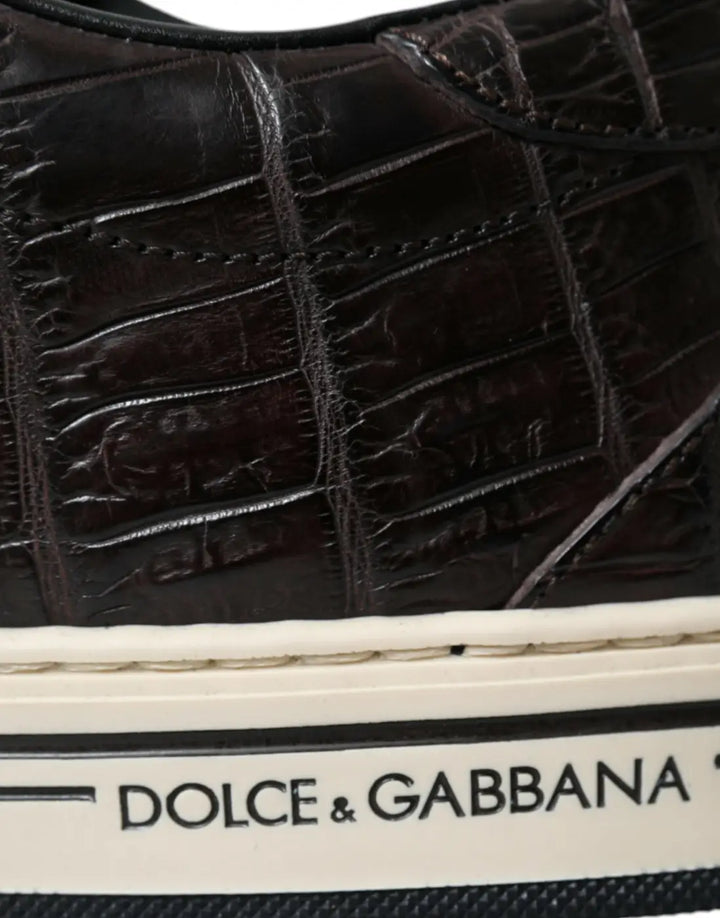 Dolce &amp; Gabbana Brown Croc Exotic Leather Men Casual Sneakers Shoes