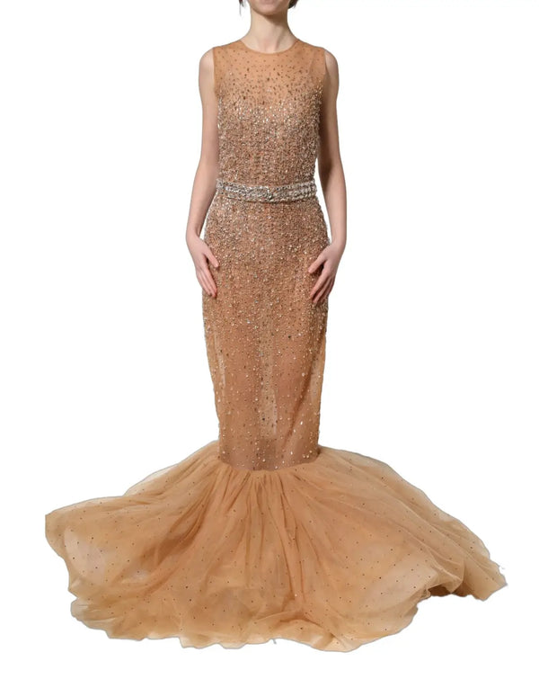 Dolce & Gabbana Brown Crystal Embellished Mermaid Gown Dress women’s dress