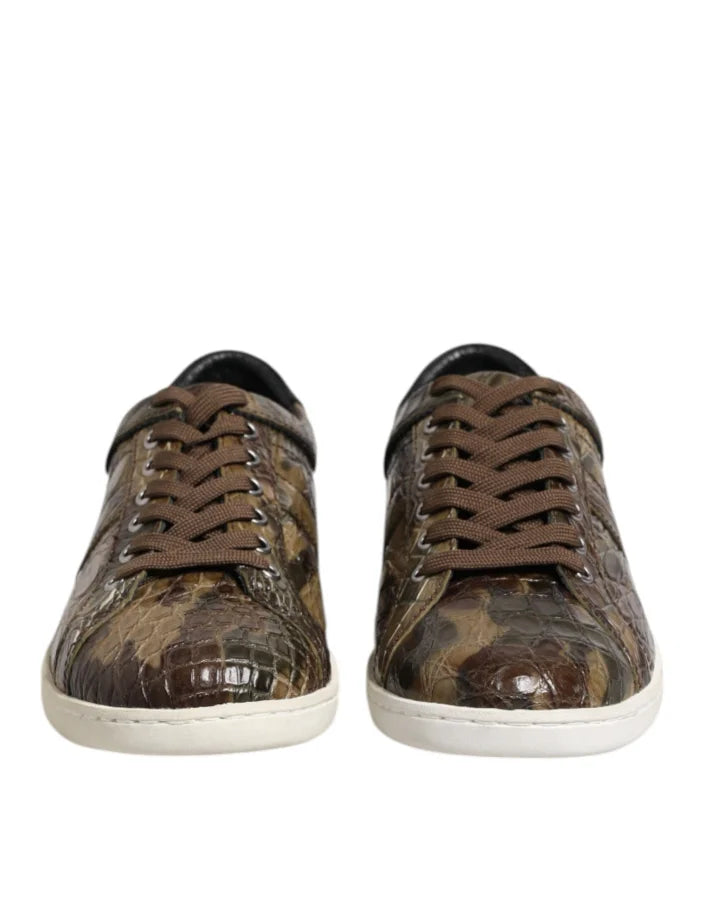 Dolce &amp; Gabbana Brown Exotic Leather Low Top Sneakers Shoes