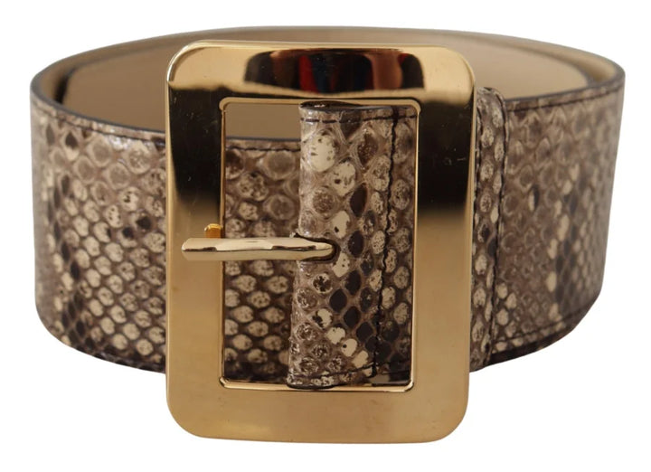 Dolce &amp; Gabbana Brown Exotic Wide Waist Leather Gold Metal Buckle Belt
