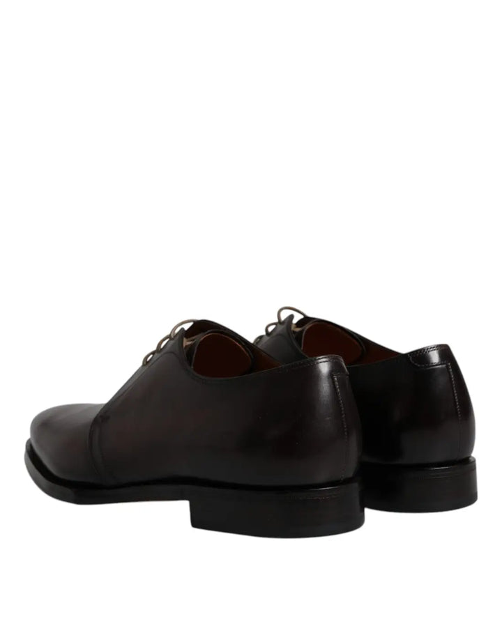 Dolce &amp; Gabbana Brown Leather Lace Up Men Derby Formal Shoes