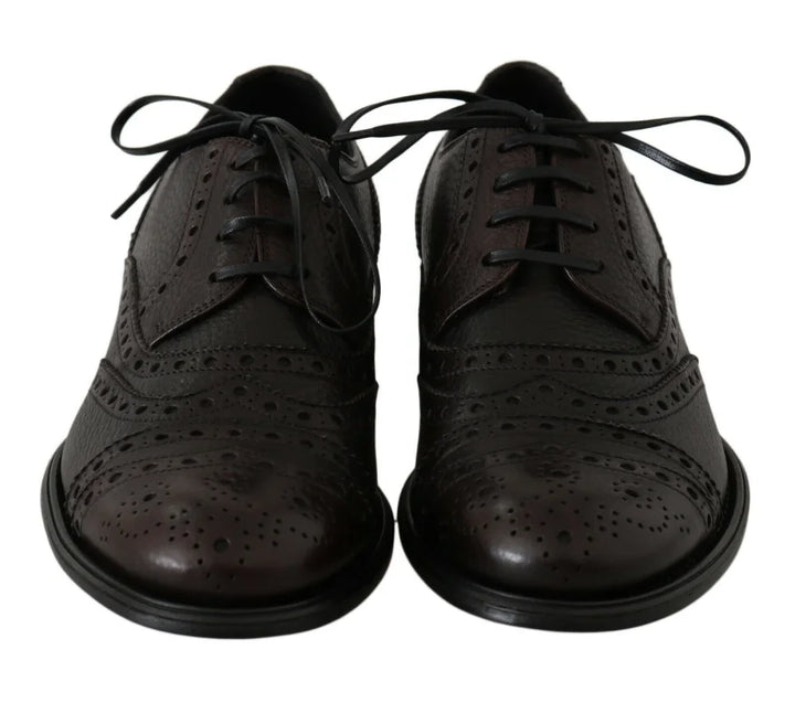 Dolce &amp; Gabbana Brown Leather Wingtip Derby Formal Shoes