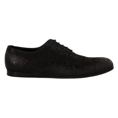 Dolce Gabbana Caiman Leather Oxford Shoes with Iconic Logo Details &
