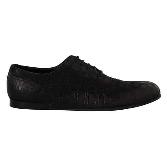 Dolce Gabbana Caiman Leather Oxford Shoes with Iconic Logo Details &