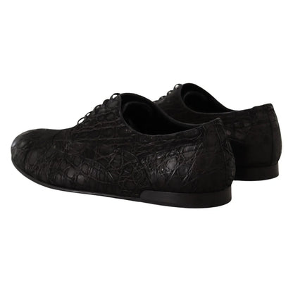 Dolce Gabbana Caiman Leather Oxford Shoes with Iconic Logo Details &