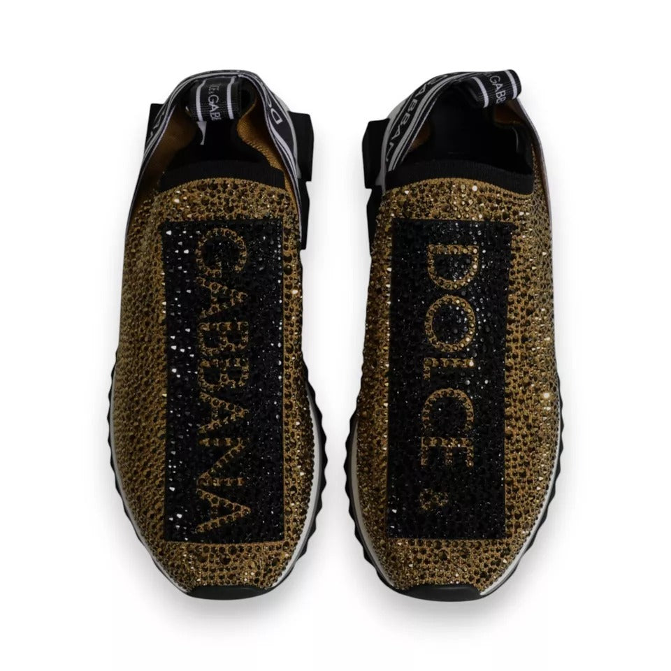 Zapatillas deportivas Sorrento con pedrería dorada de Dolce &amp;amp; Gabbana