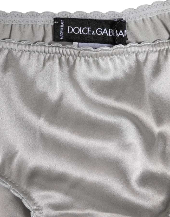 Dolce &amp; Gabbana Gray Silk Stretch Bottom Low Waist Panty Underwear
