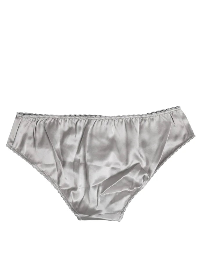 Dolce &amp; Gabbana Gray Silk Stretch Bottom Low Waist Panty Underwear
