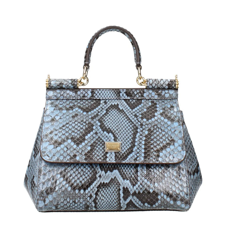 Dolce &amp; Gabbana Light Blue Skin Handbag