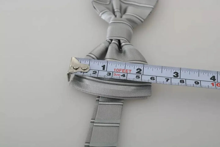 Dolce &amp; Gabbana Light Gray Lining Adjustable Neck Butterfly Bow Tie