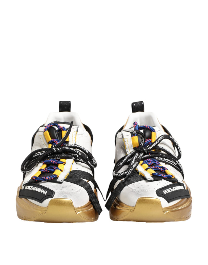 Dolce &amp; Gabbana Multicolor Daymaster Low Top Sneakers Shoes