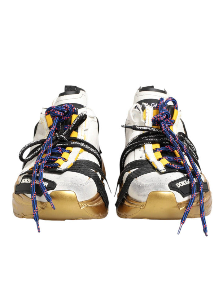 Dolce &amp; Gabbana Multicolor Daymaster Low Top Sneakers Shoes