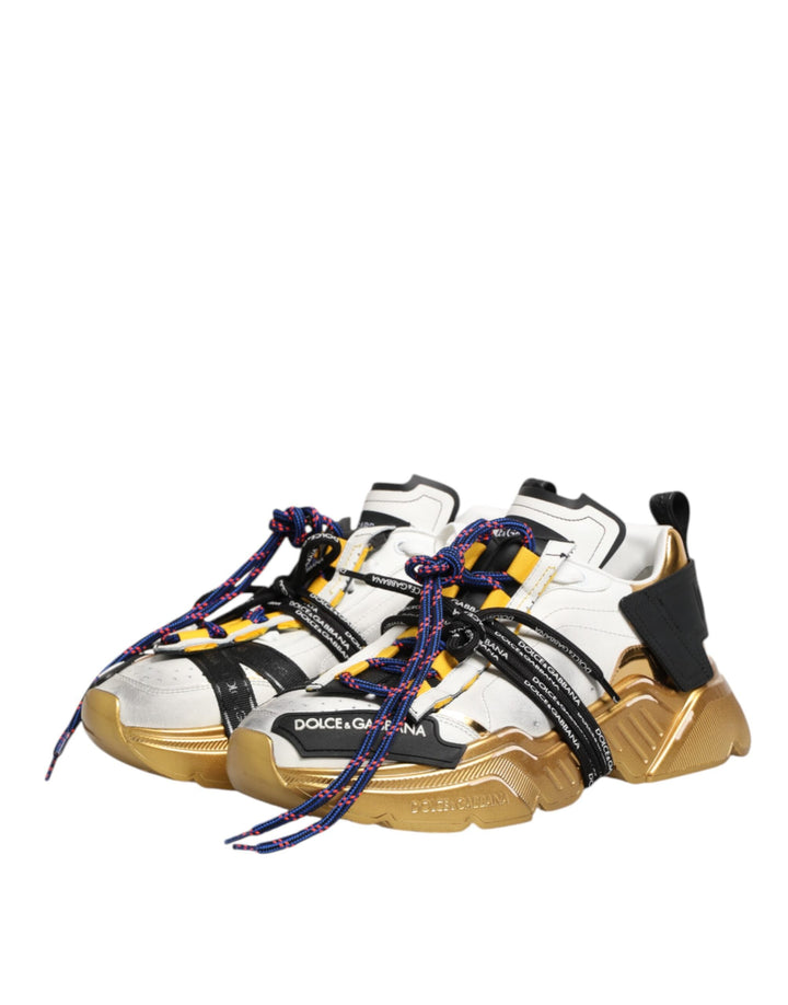 Dolce &amp; Gabbana Multicolor Daymaster Low Top Sneakers Shoes