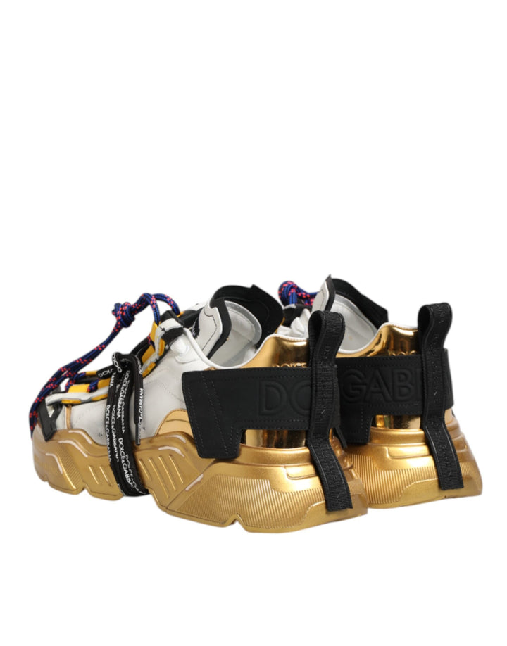 Dolce &amp; Gabbana Multicolor Daymaster Low Top Sneakers Shoes