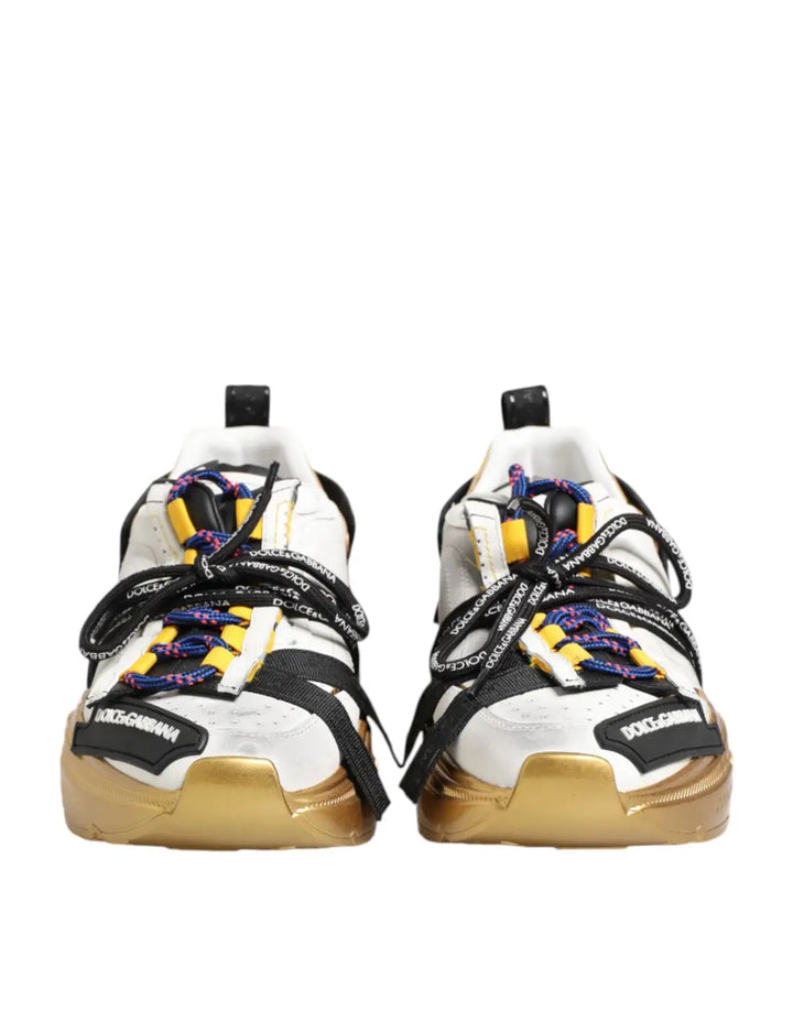 Dolce &amp; Gabbana Multicolor Daymaster Low Top Sneakers Shoes
