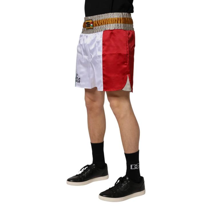 Dolce &amp; Gabbana Multicolor Italia Polyester Bermuda Shorts