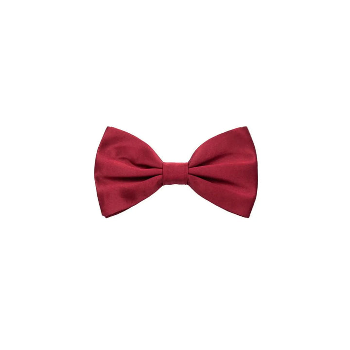 Dolce &amp; Gabbana Red Silk Bowtie
