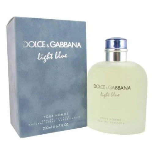 Light Blue Cologne for Men Sophisticated Musk Wood Perfume Men’s Dolce & Gabbana