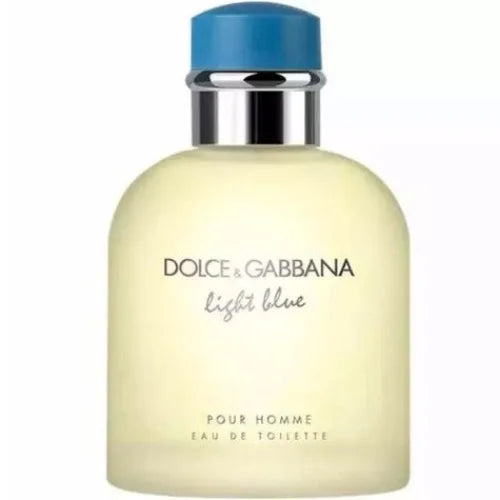 Light Blue Cologne for Men Sophisticated Musk Wood Perfume Men’s Dolce & Gabbana