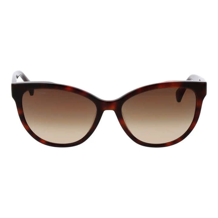 Max Mara Brown Acetate Sunglasses