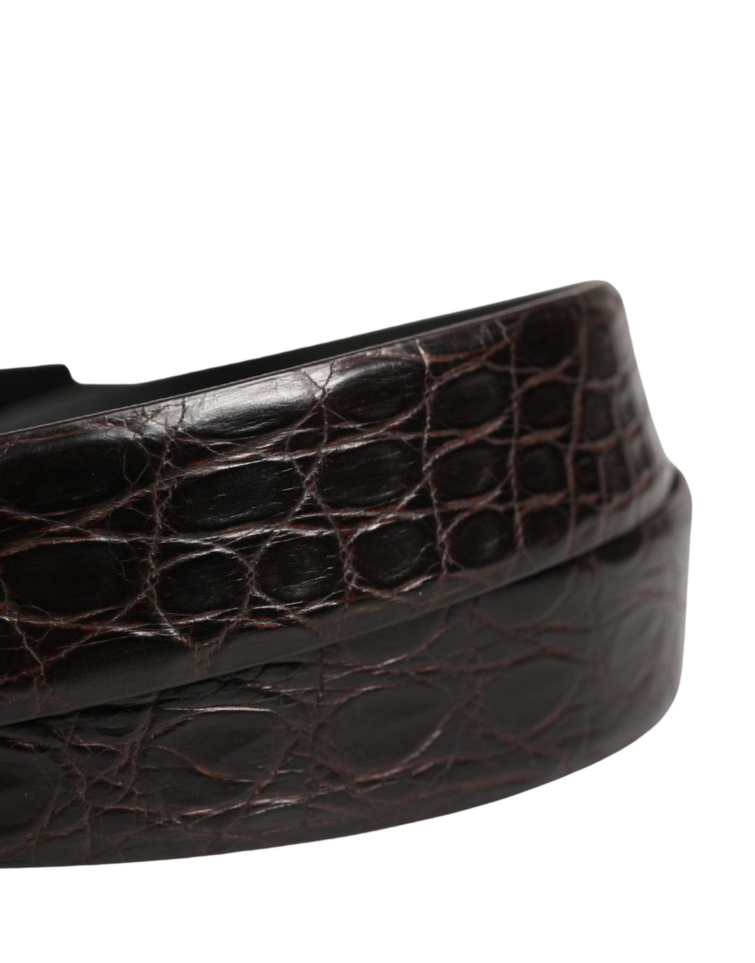 Dolce &amp; Gabbana Men Black Exotic Leather Logo Buckle Belt