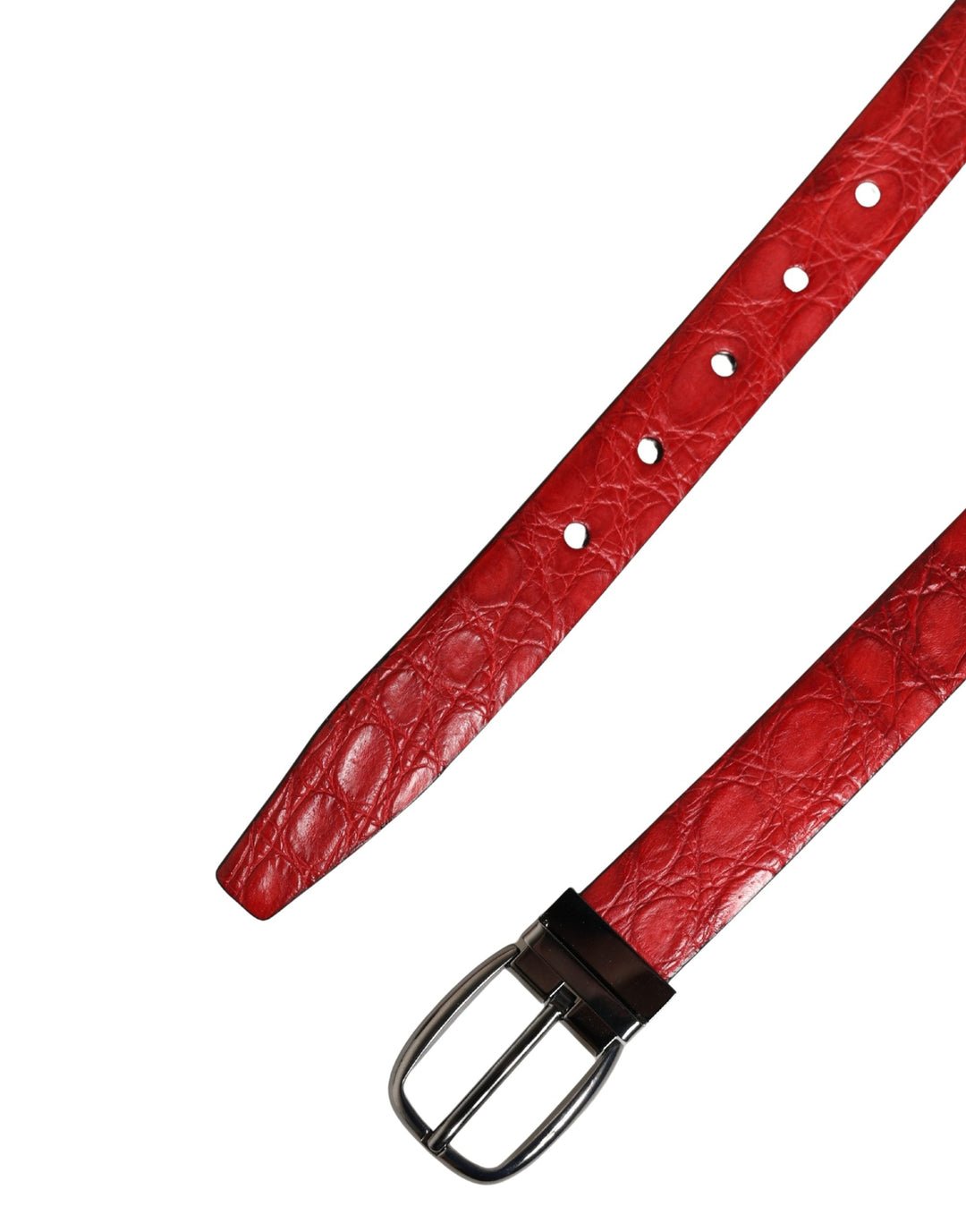 Dolce &amp; Gabbana Men Red Exotic Leather Metal Buckle Belt