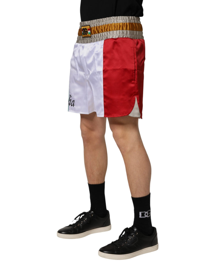 Men’s Dolce &amp; Gabbana Multicolor Italia Polyester Bermuda Shorts