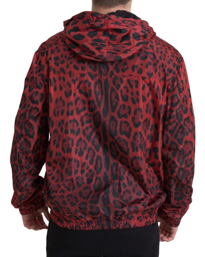 Men’s Dolce &amp; Gabbana Red Leopard Hooded Bomber Full Zip Jacket