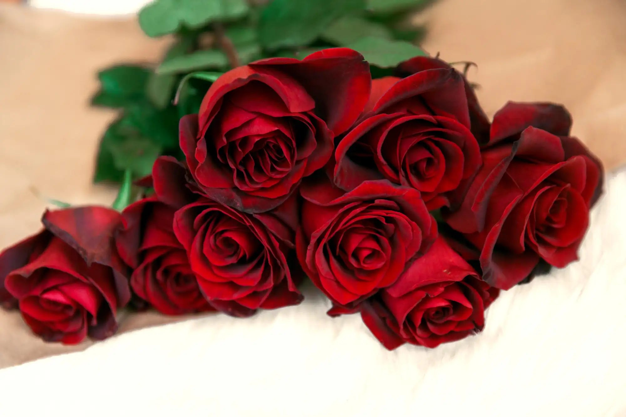 Bouquet of red roses on a white surface with green leaves.