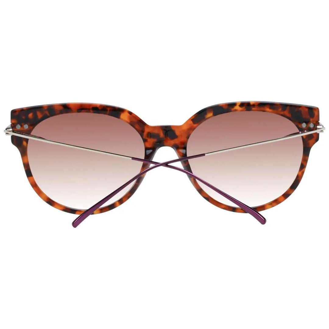 Scotch &amp; Soda Brown Acetate Sunglasses