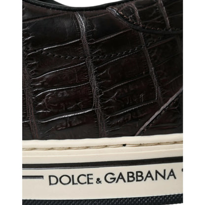 Showstopping Dolce Gabbana Crocodile Leather Brown Sneakers &