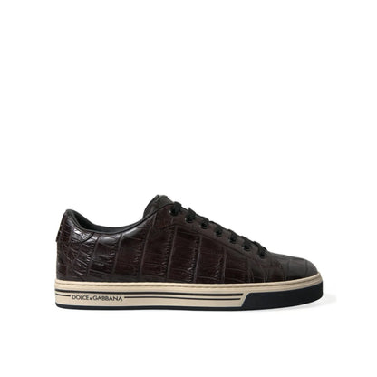 Showstopping Dolce Gabbana Crocodile Leather Brown Sneakers &