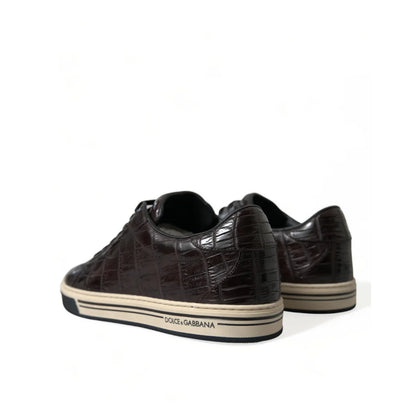 Showstopping Dolce Gabbana Crocodile Leather Brown Sneakers &