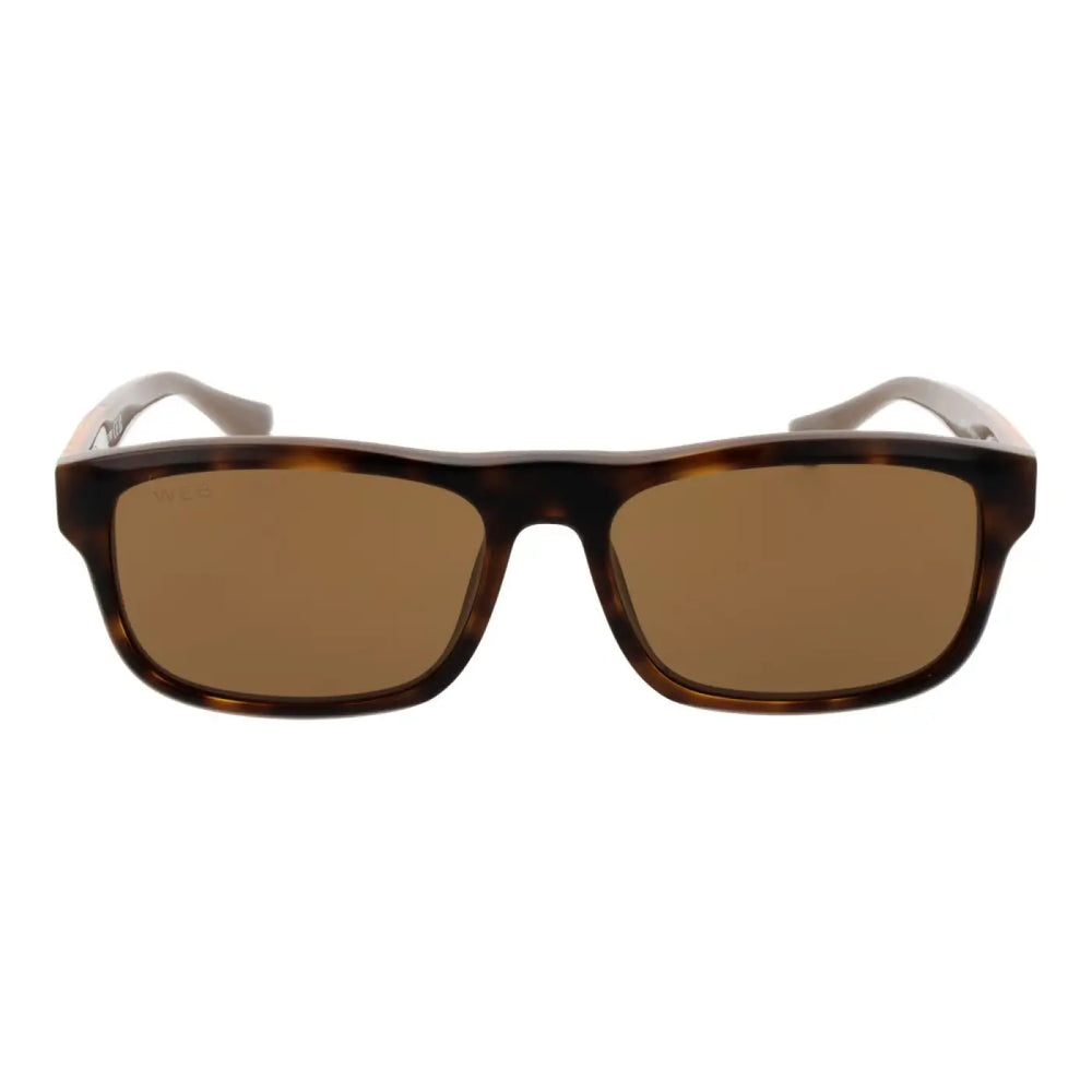 Web Brown Acetate Sunglasses