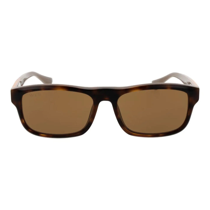 Web Brown Acetate Sunglasses