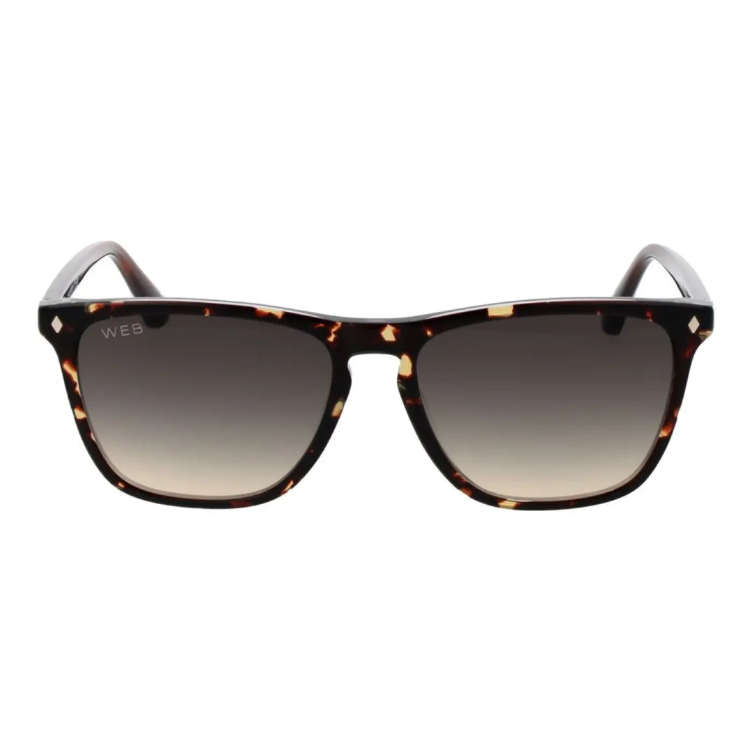 Web Brown Acetate Sunglasses