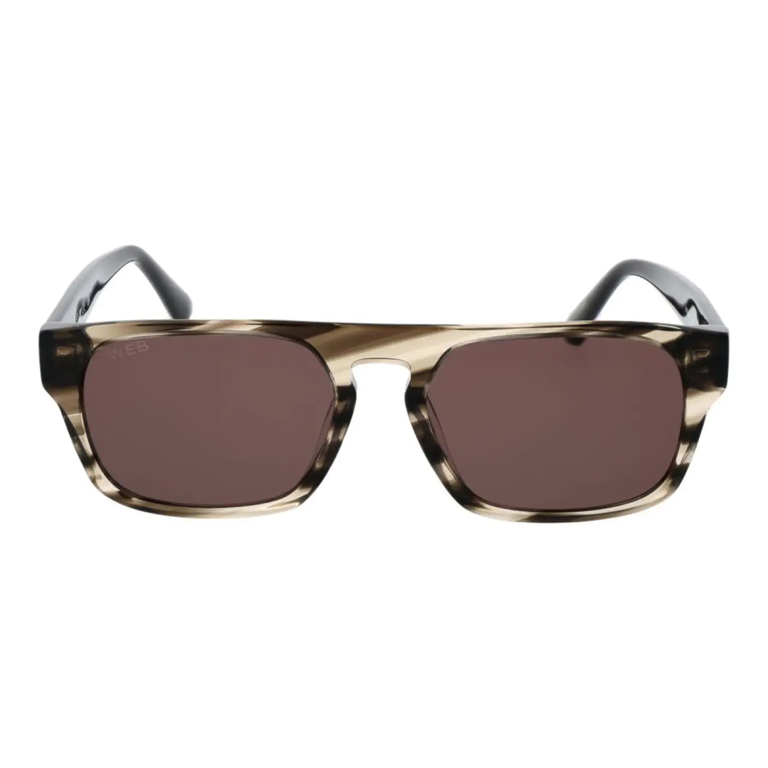 Web Gray Acetate Sunglasses