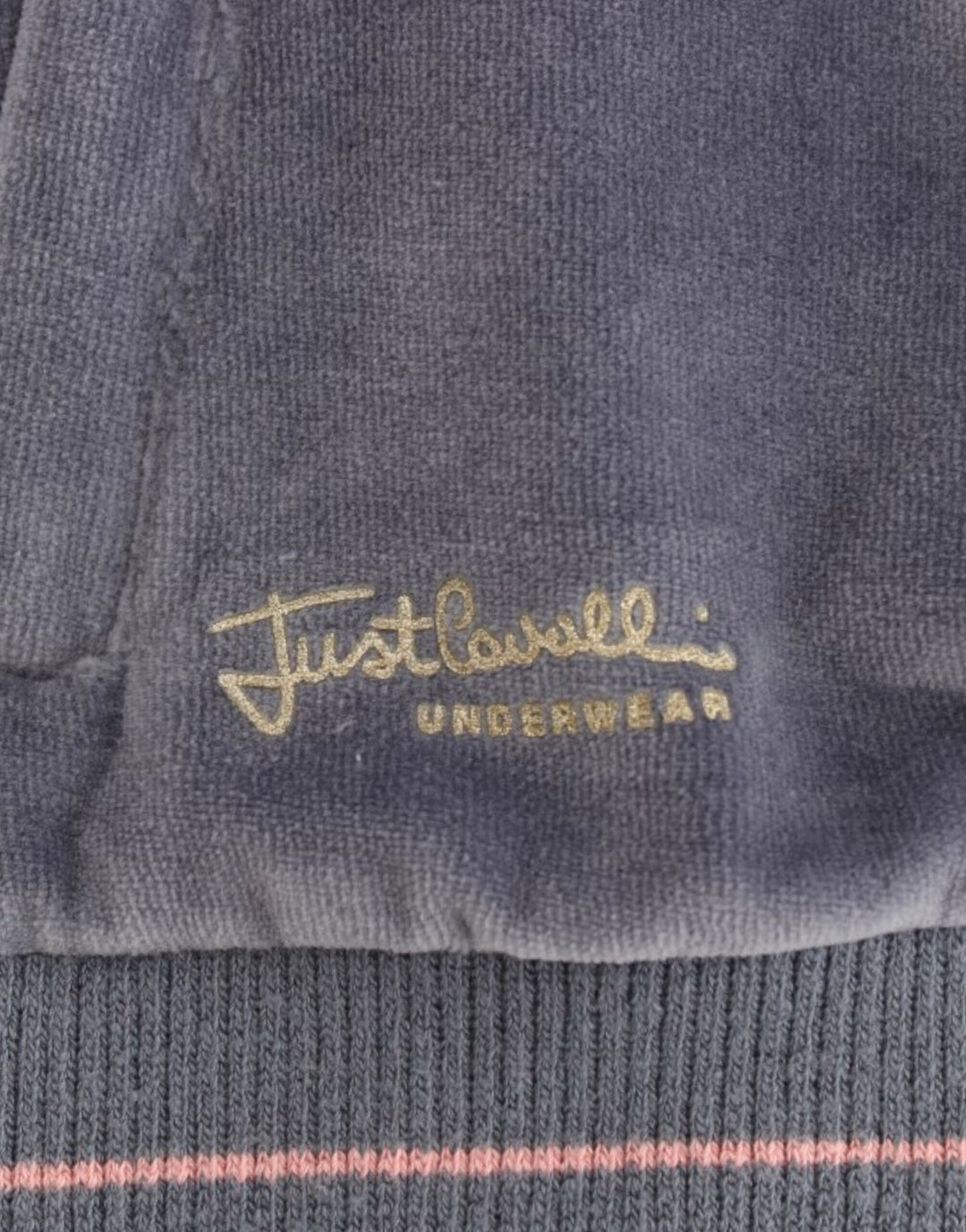 Women’s Cavalli Blue Velvet Zipup Sweater