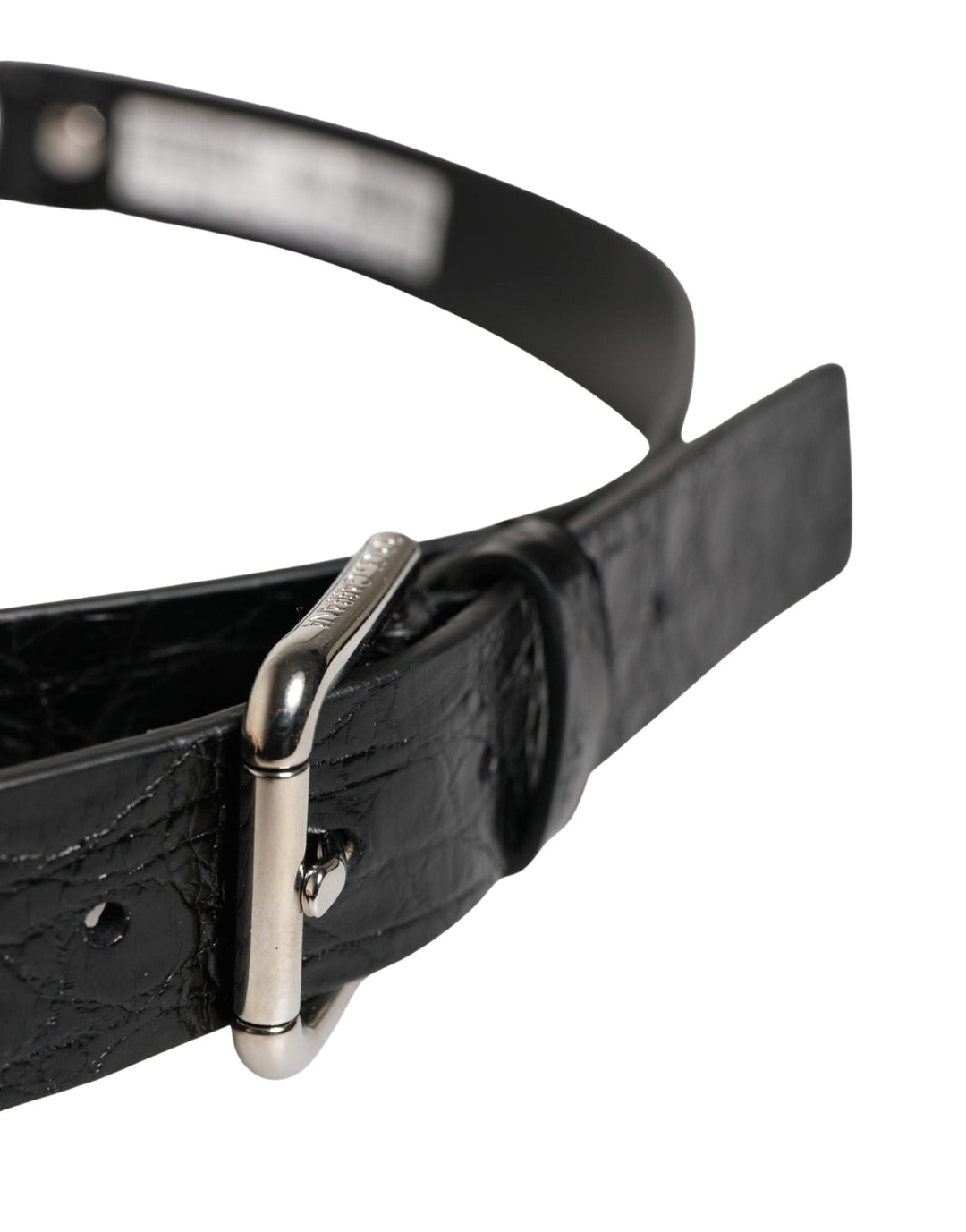 Women’s Dolce &amp; Gabbana Black Exotic Leather Silver Metal Buckle Belt