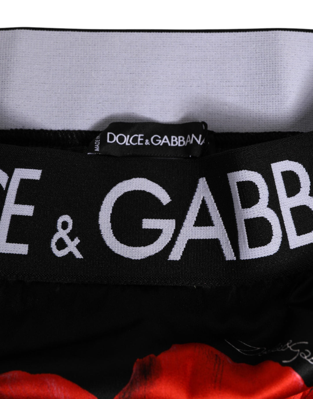 Women’s Dolce &amp; Gabbana Black Floral Print High Waist Sheer Mesh Underwear
