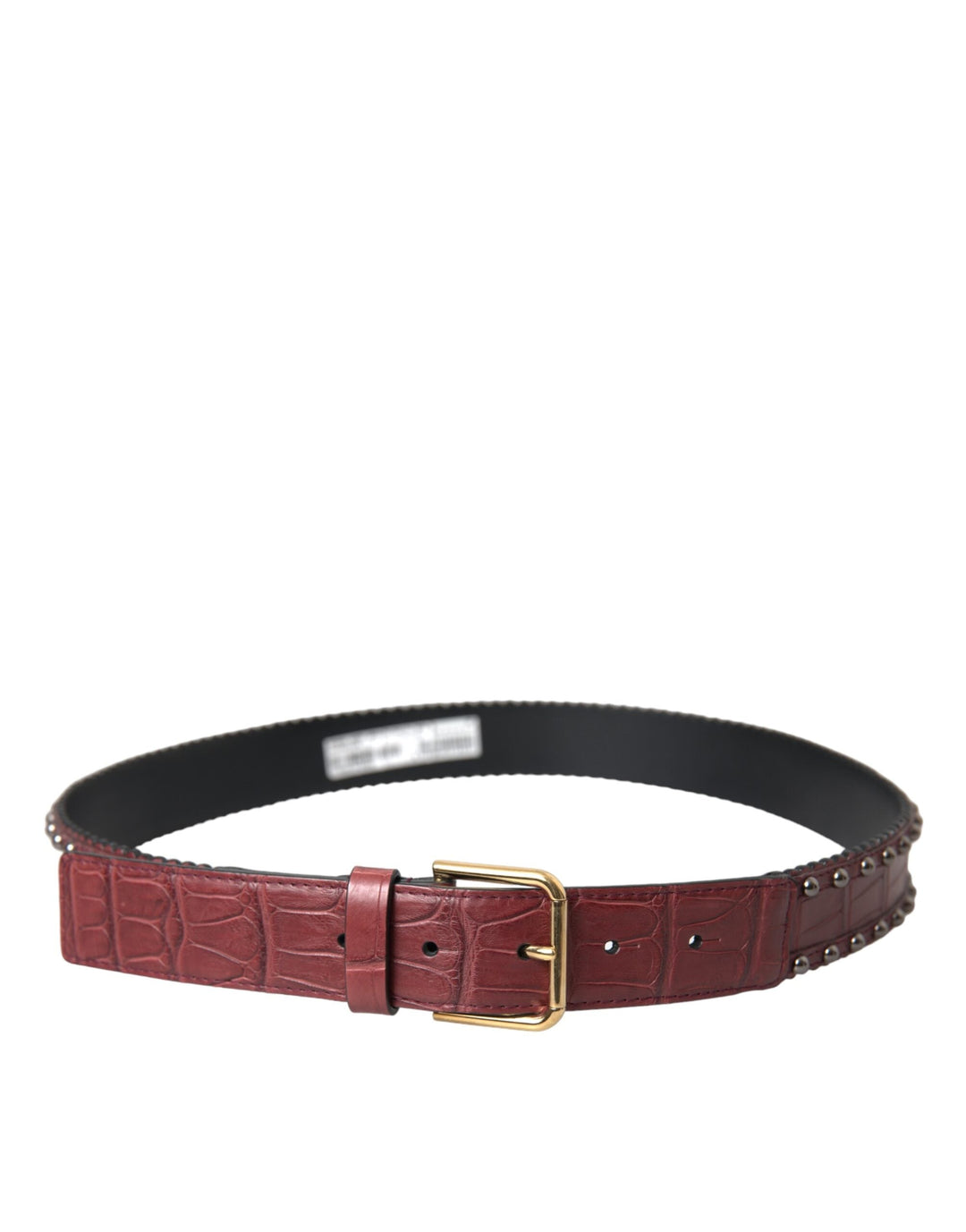 Women’s Dolce &amp; Gabbana Brown Alligator Leather Studded Metal Buckle Belt