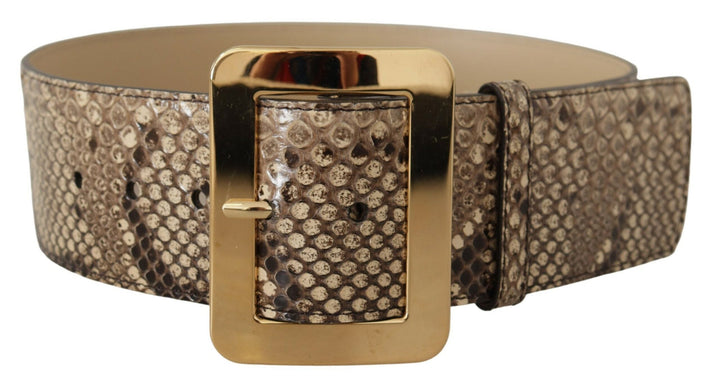 Women’s Dolce &amp; Gabbana Brown Exotic Wide Waist Leather Gold Metal Buckle Belt