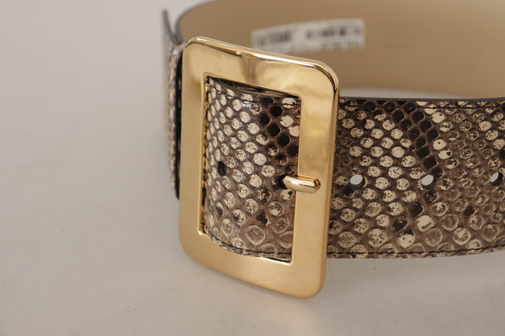 Women’s Dolce &amp; Gabbana Brown Exotic Wide Waist Leather Gold Metal Buckle Belt