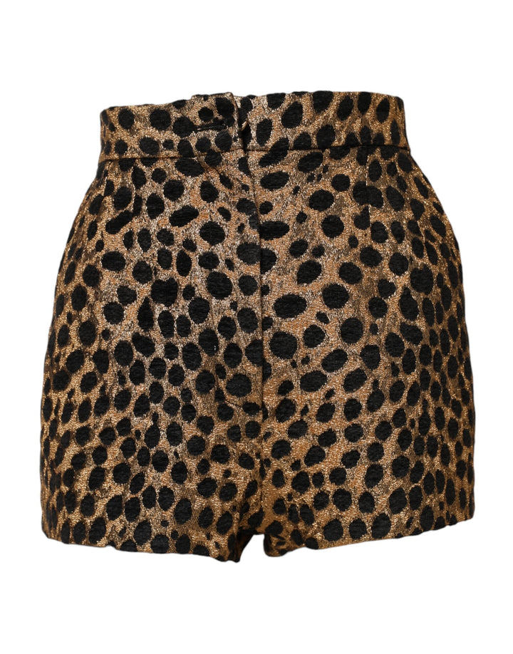 Women’s Dolce &amp; Gabbana Brown Leopard High Waisted Hot Pants Shorts