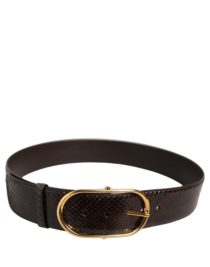 Women’s Dolce &amp; Gabbana Brown Python Leather Gold Metal Buckle Belt